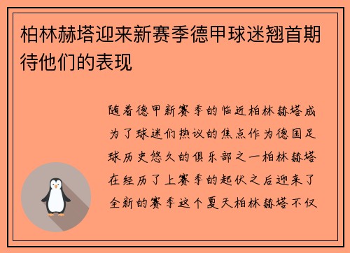 柏林赫塔迎来新赛季德甲球迷翘首期待他们的表现